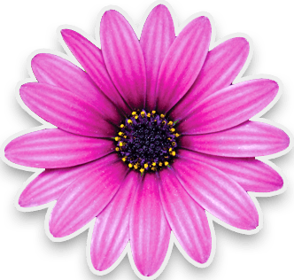 Tulsa Landscaping Pink Flower