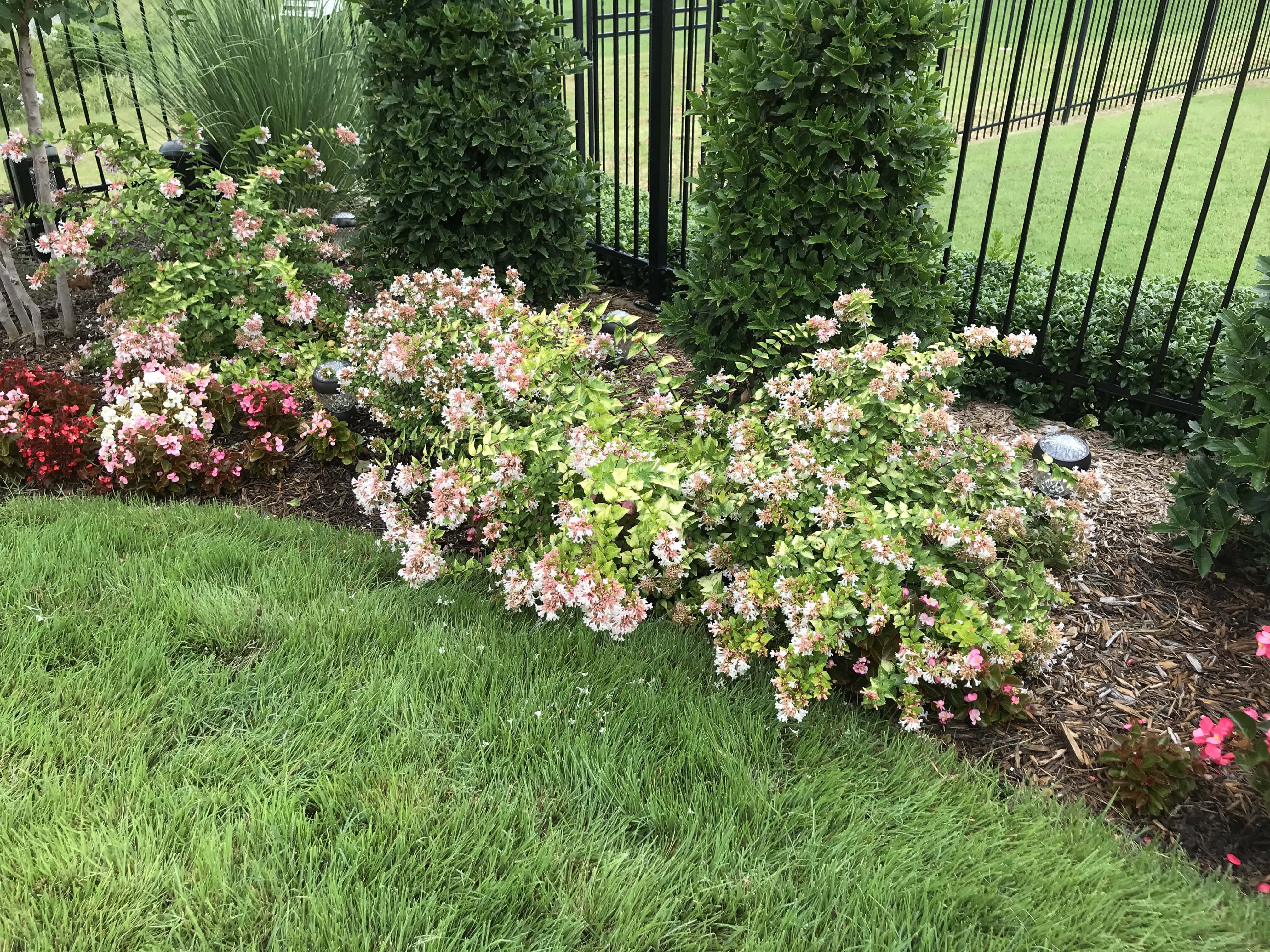 Residential Landscaping Services Residential Landscaping Services