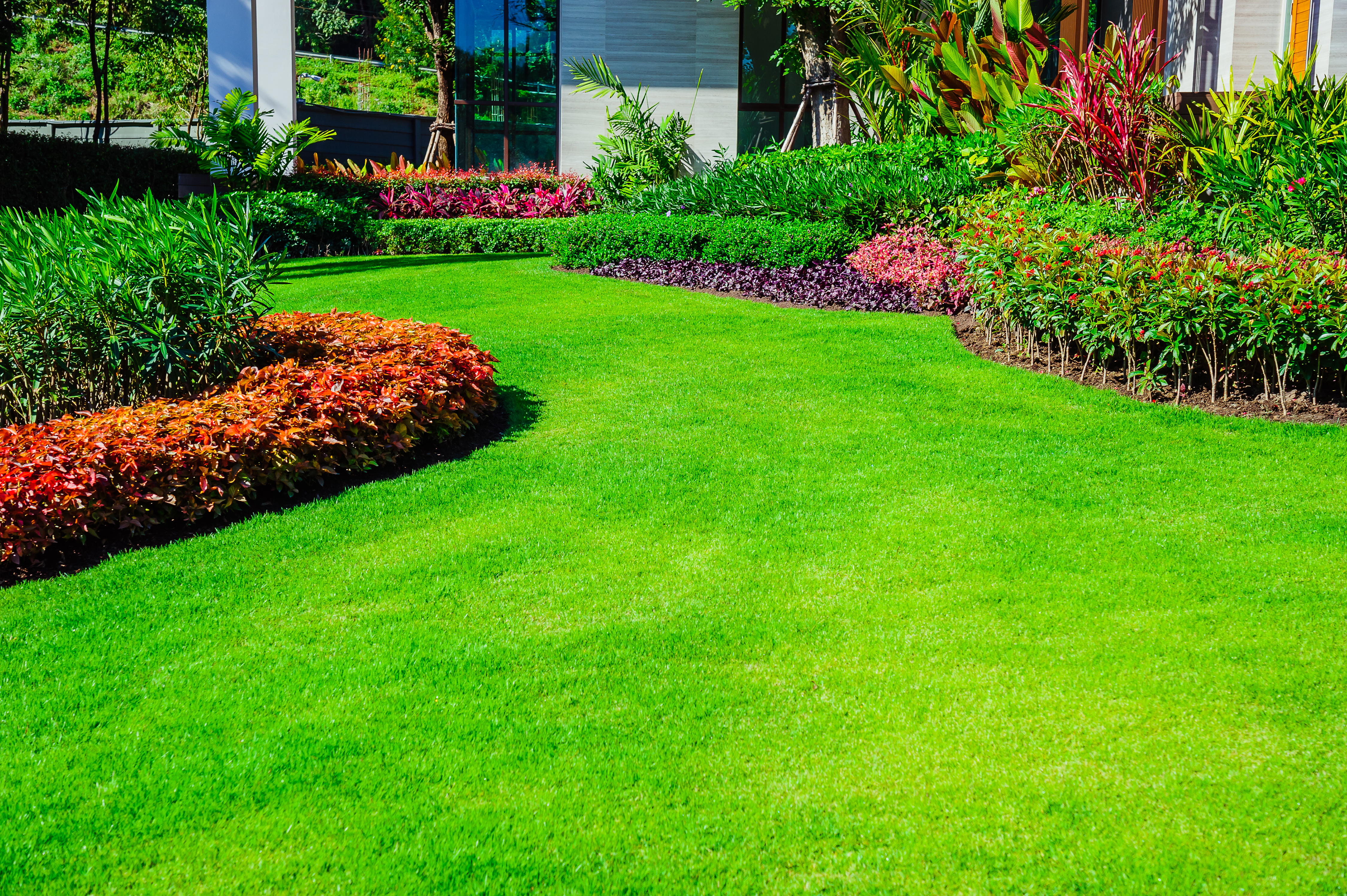 Tulsa Weed Control Spray Applications Tulsa Weed Conrol Spray Applications